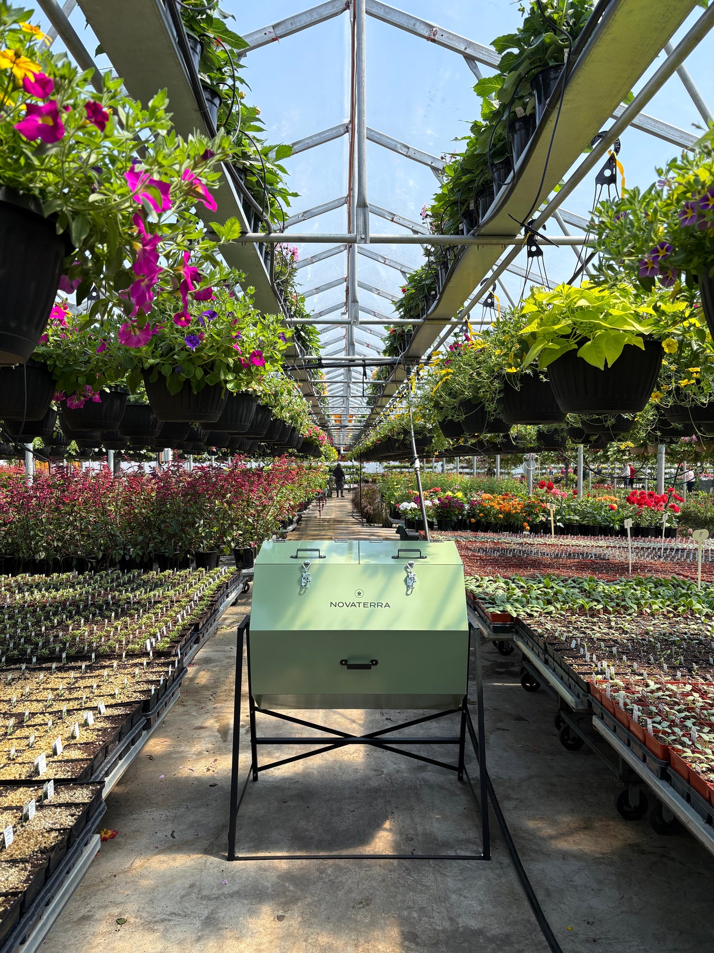 NOVA 30 - EcoSchools